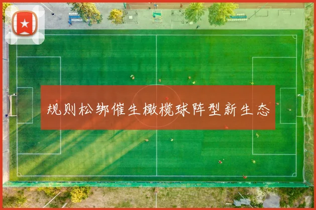 规则松绑催生橄榄球阵型新生态