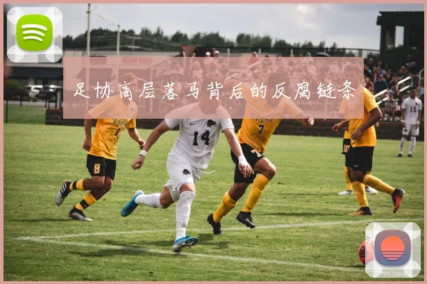 足协高层落马背后的反腐链条