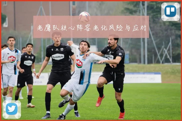 老鹰队核心阵容老化风险与应对