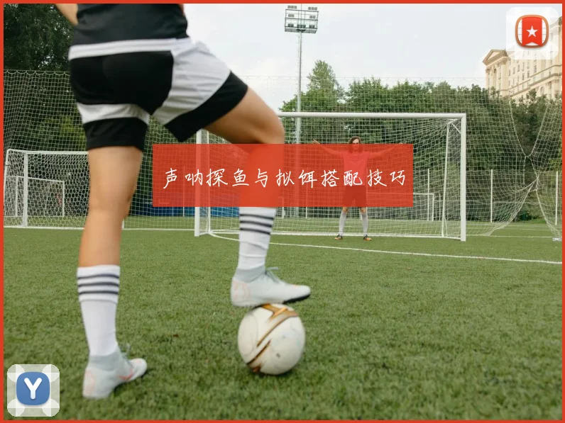 声呐探鱼与拟饵搭配技巧
