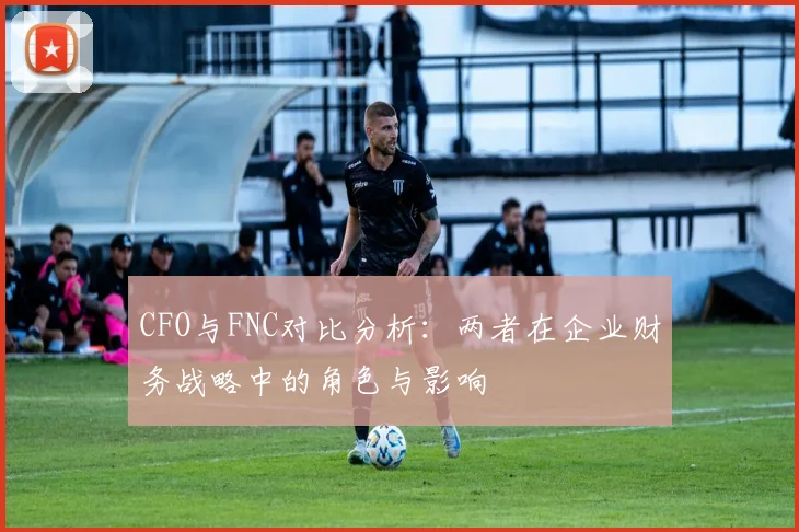 CFO与FNC对比分析：两者在企业财务战略中的角色与影响