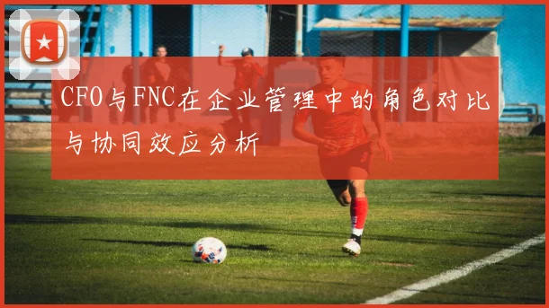 CFO与FNC在企业管理中的角色对比与协同效应分析