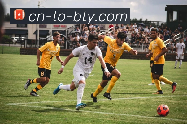 bsportsAPP 封面图